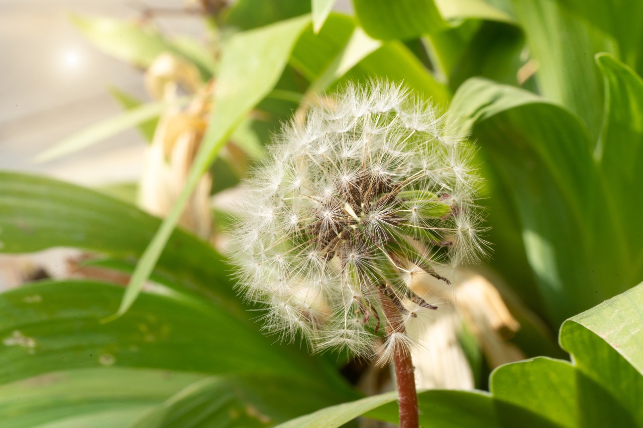 老人言“水至清则无鱼”，下半句更精髓，老祖宗留的为人处世道理