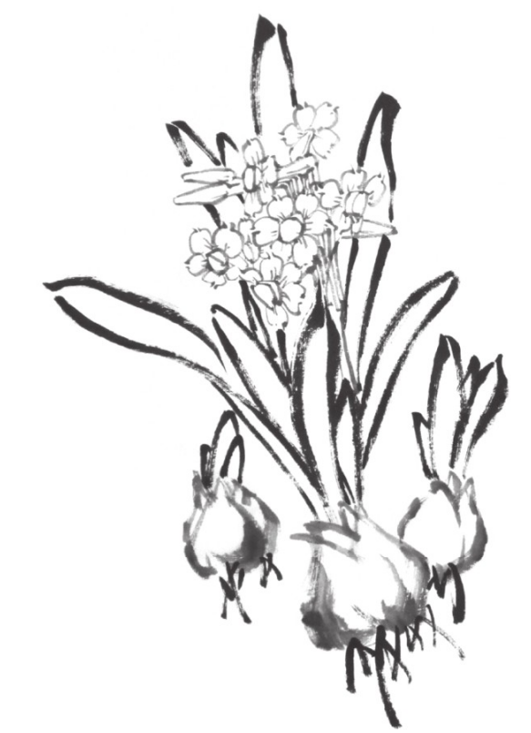 国画梅花,兰花,菊花,牡丹,荷花等常画花卉的画法