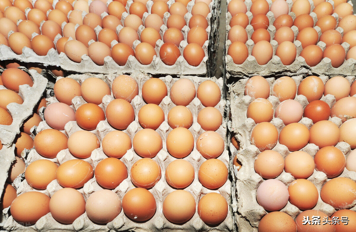 一头猪惨亏500元，羊价遭遇寒冬，鱼价集体走跌，养殖业发生了啥