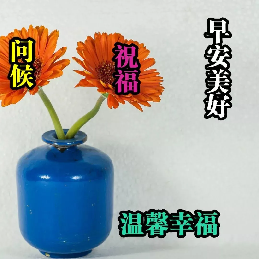 「2021.05.19」早安心语,正能量又是充满希望的一天继续笑着向前