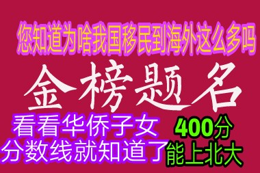 高考400分留学（看看华侨孩子分数线就知道了）