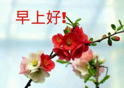 各自有志，如星辰各耀其光。愿你我皆怀梦想，在晨曦中启程，坚定前行。