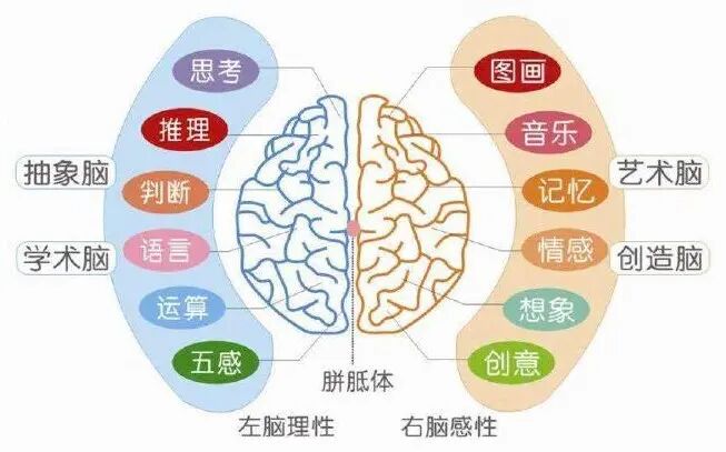 新手爸妈看过来：如何准备0-1岁宝宝早教内容和早教用品？