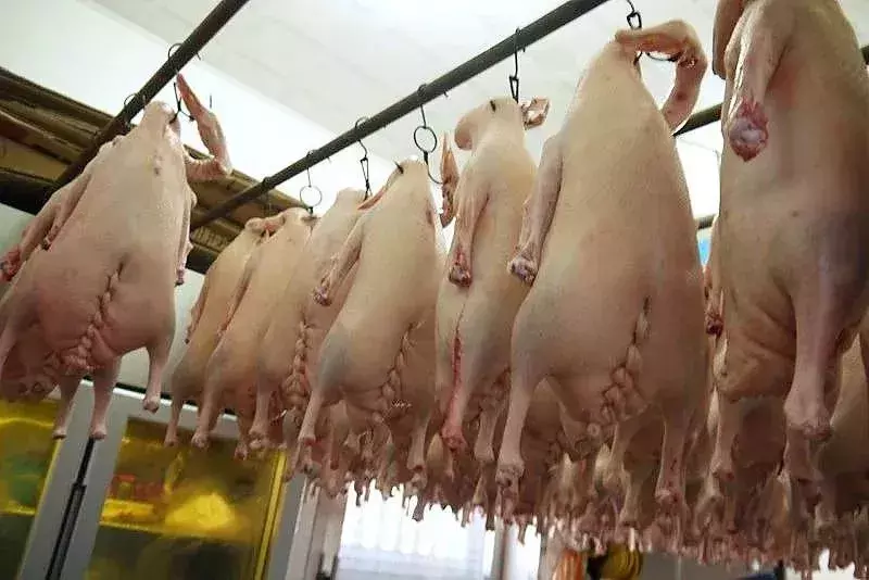 宁波这9家开店超过20年的熟食店，你一定要知道