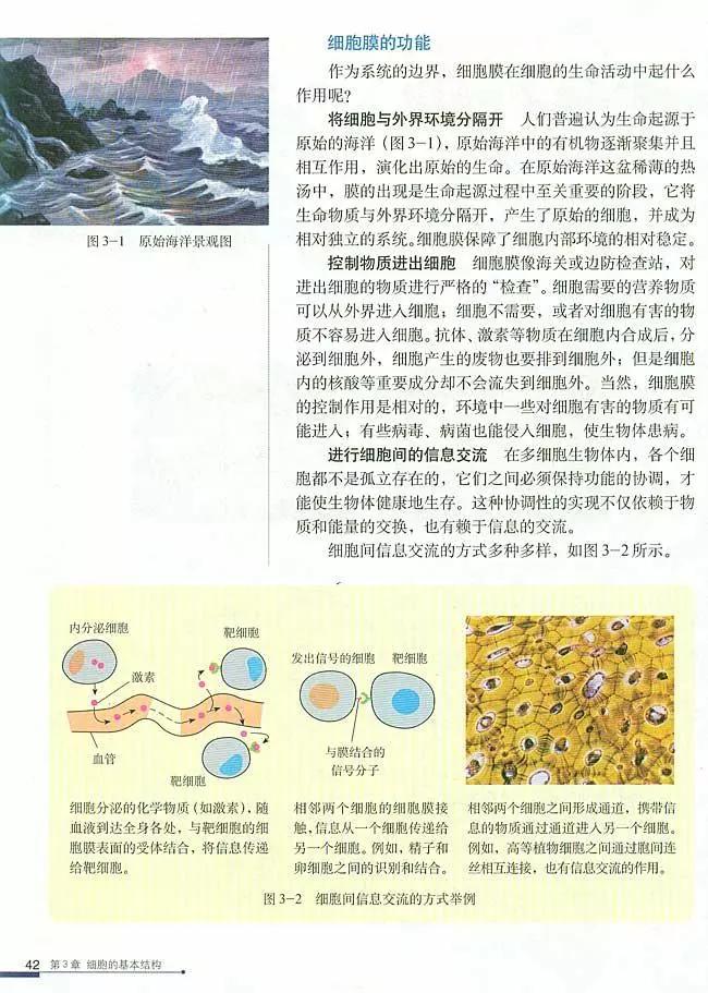 人教版高中生物（必修1）电子课本（高清版）