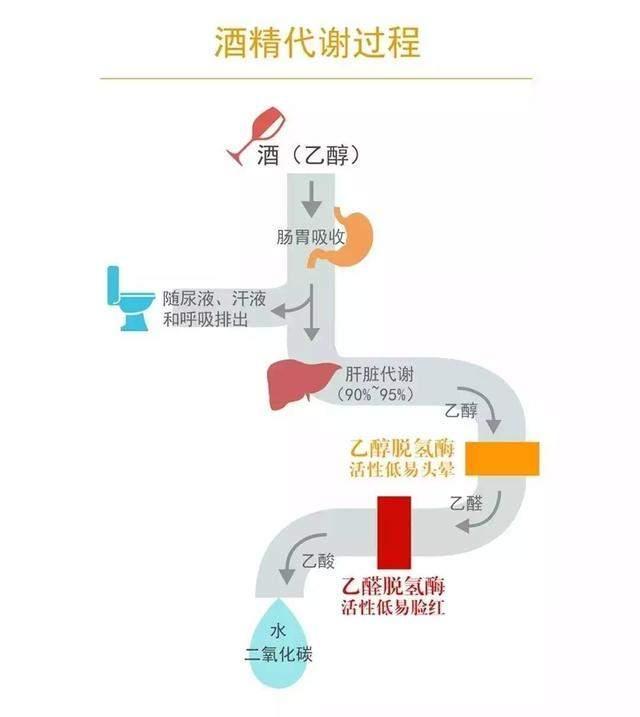 干倒58人，34人死亡，24人住院！俄罗斯人爱喝酒，究竟有多夸张？