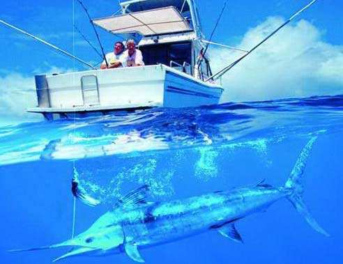 游艇驾照的报考条件有哪些？有什么培训内容？需要多少钱？