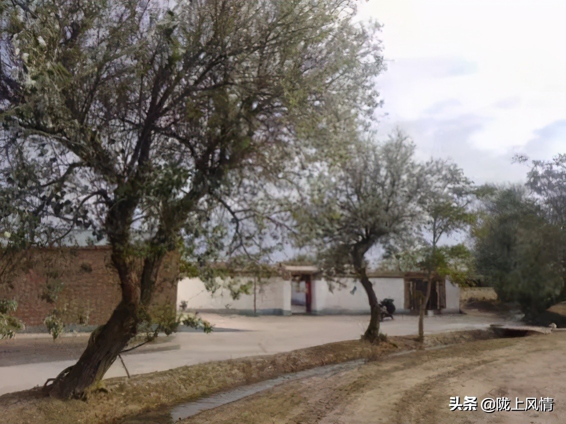慎终追远一一怀念我的父亲