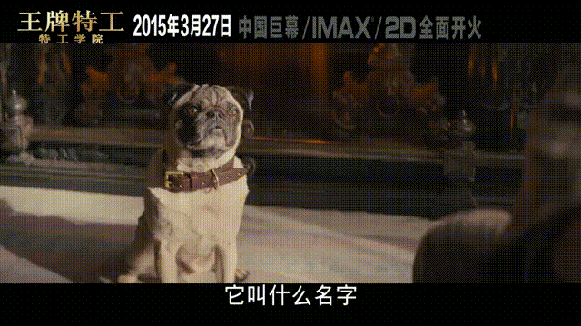 《007无暇赴死》在线(高清版)中字完整无删减蓝光【HD中英双字】熟肉已完结 《007无暇赴死》在线(高清版)中字完整无删减蓝光【HD中英双字】熟肉已完结