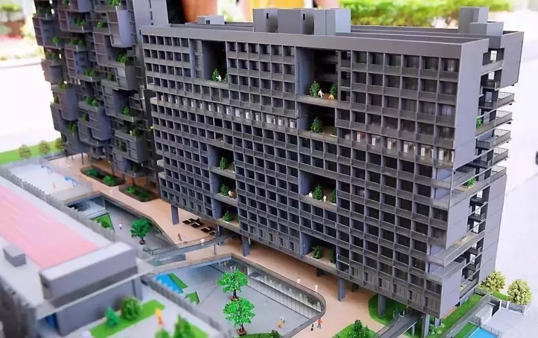 最新重磅消息：深圳最牛国际学校即将扩招！可免考直升深国交