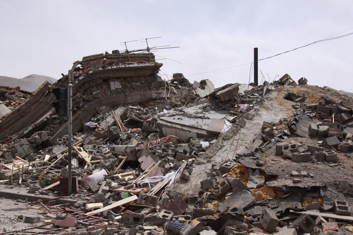 云南野象北迁跟地震有关？近年地震频发，我国有哪些城市不会地震