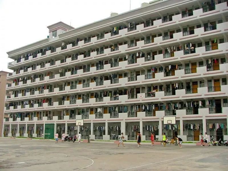 广东高职高考必看｜茂名职业技术学院