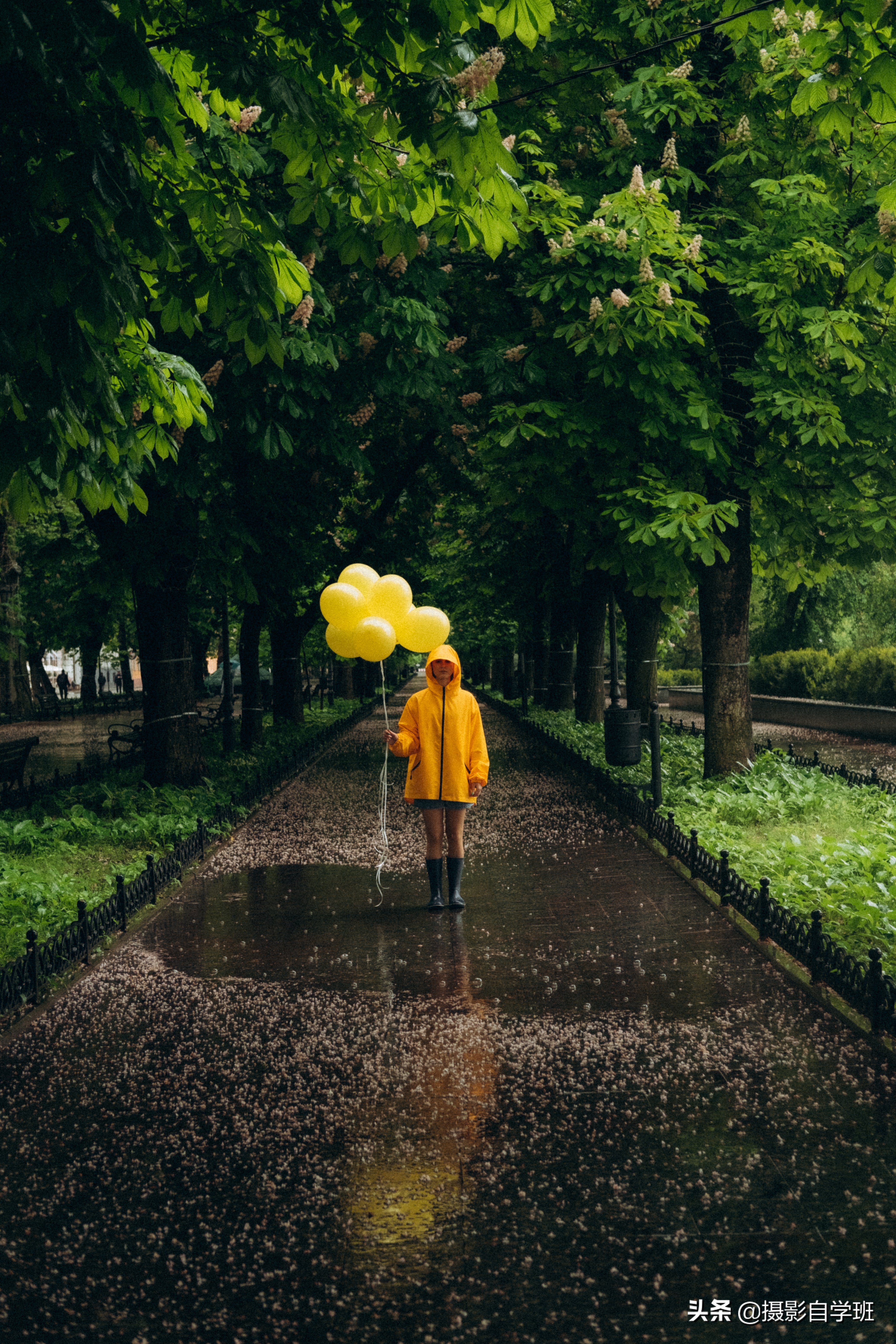 雨季已来到，雨天摄影技巧已为你准备好，拍情绪拍好看全用得着