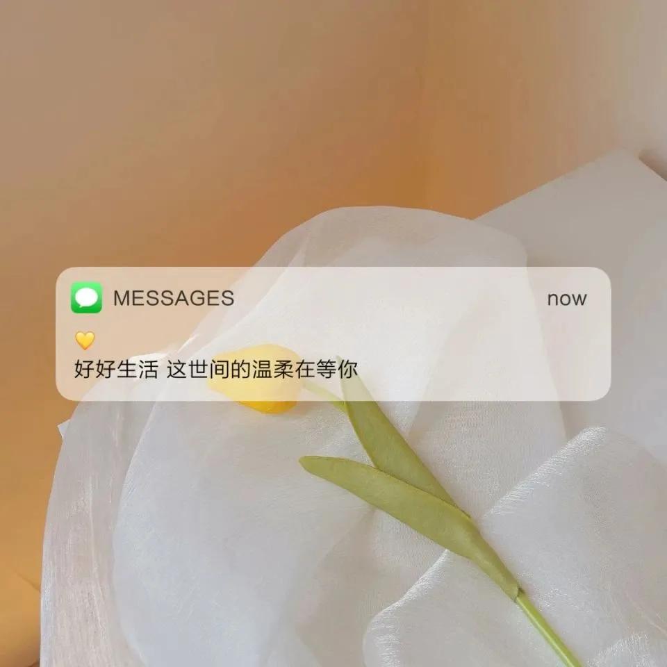 治愈系的唯美句子