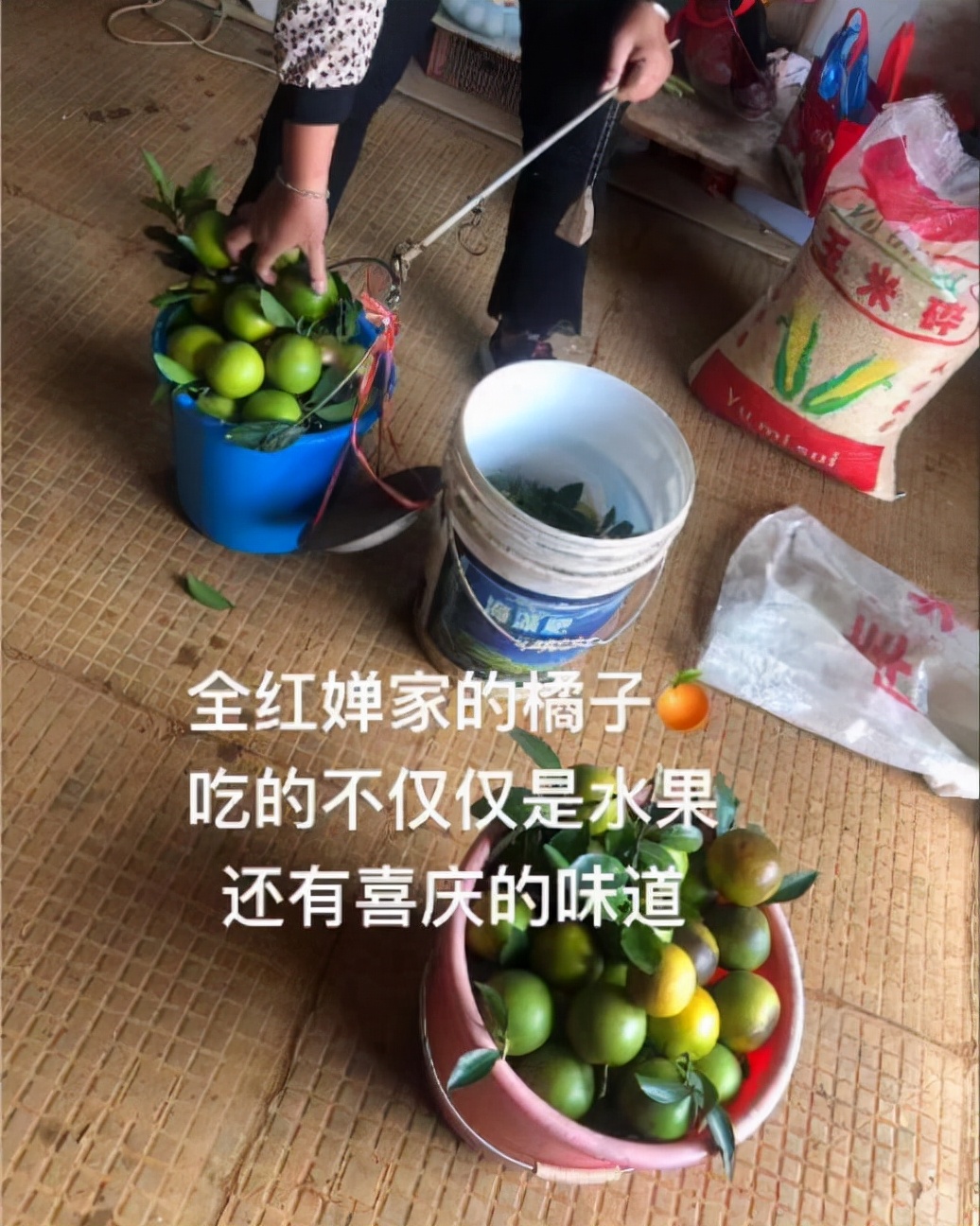 全红婵老家内景首次曝光！家具简陋奖杯抢镜，妈妈开心卖橘子