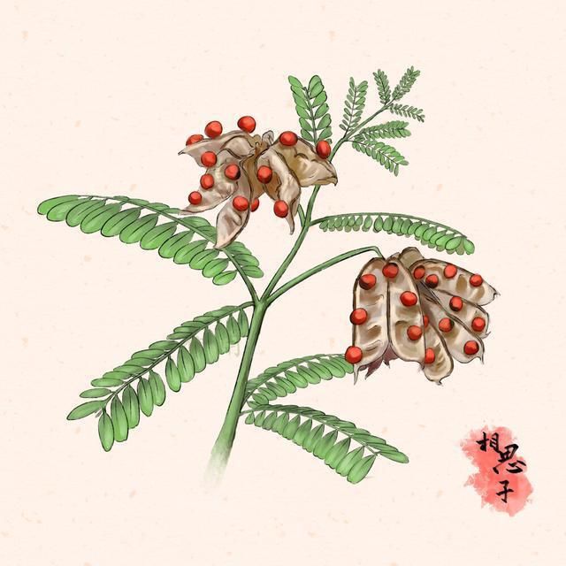 农村常见5种植物，却全都含“剧毒”，有人常常吃，遇到要警惕
