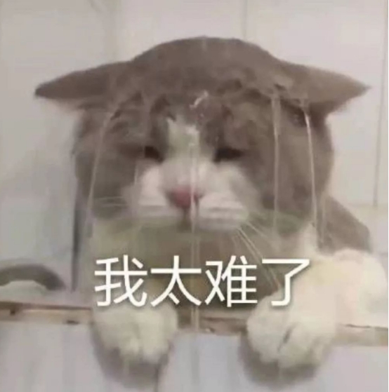 高考600分难吗（2021高考）