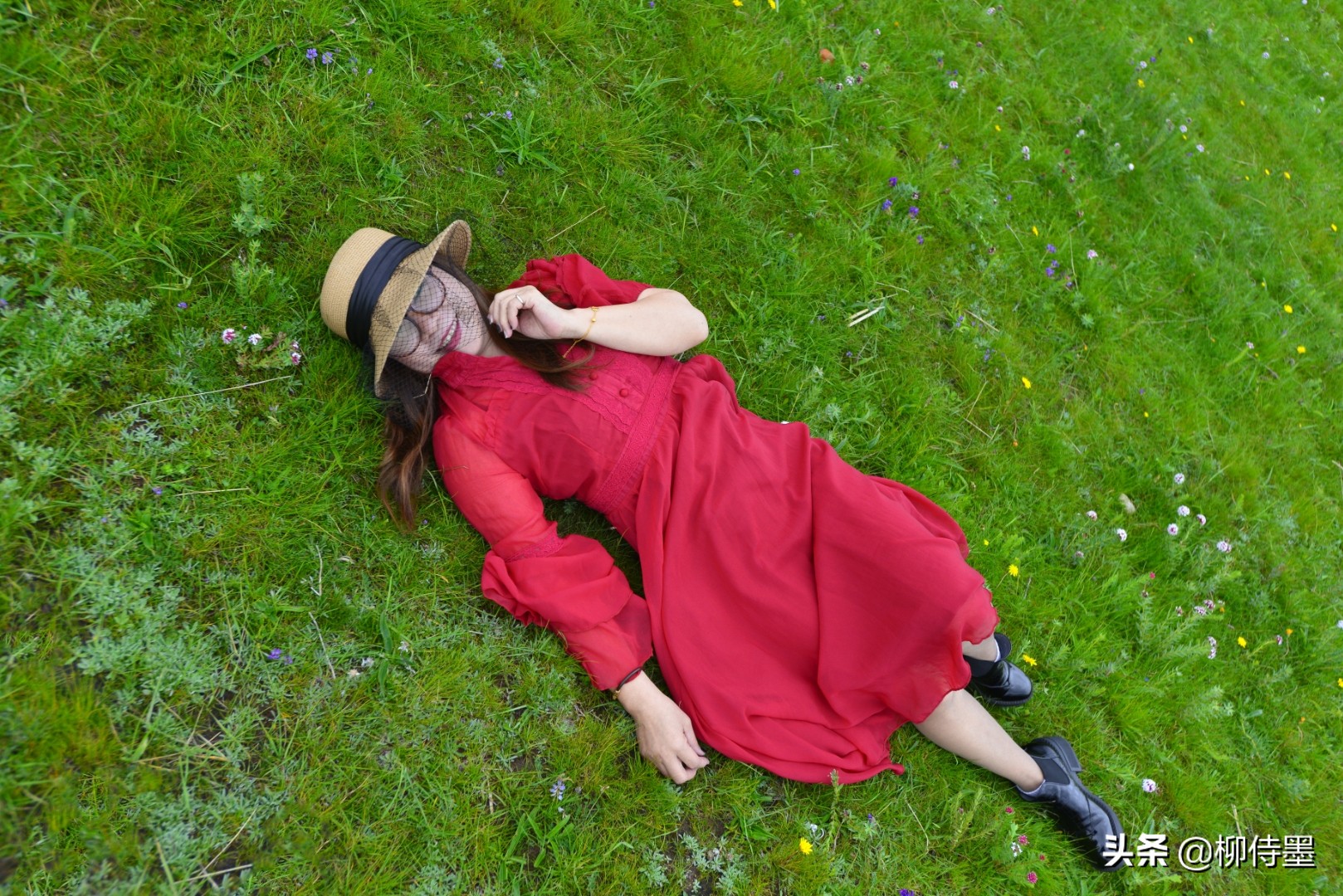 草地拍照的姿势图片(户外人像摄影) - 赤虎壹号