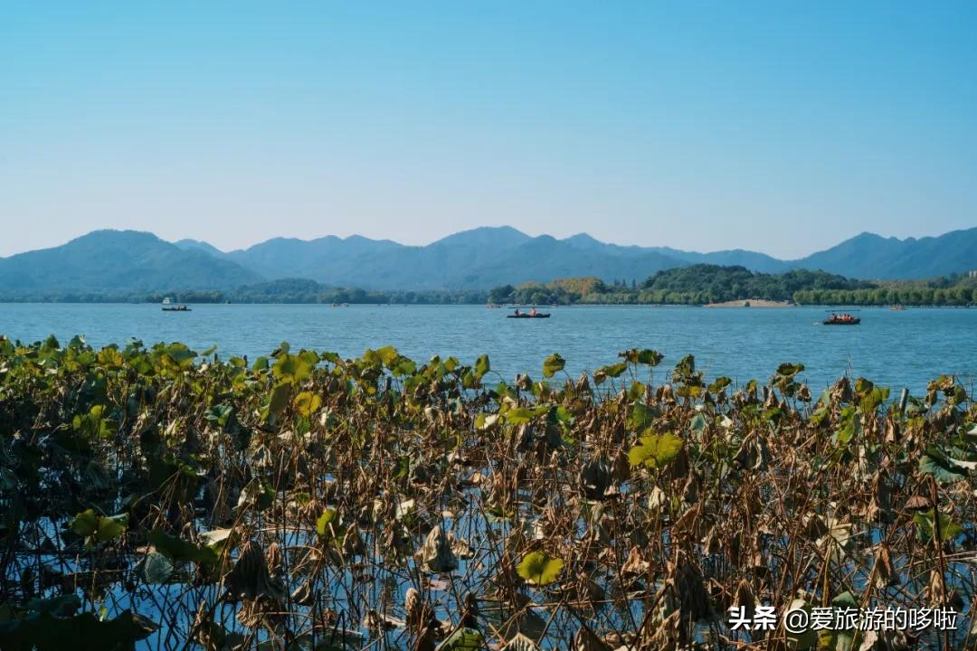 6块钱,包船游西湖