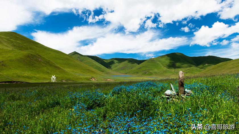 甘南藏族自治州十大景点是哪些？自驾游玩如何安排行程？