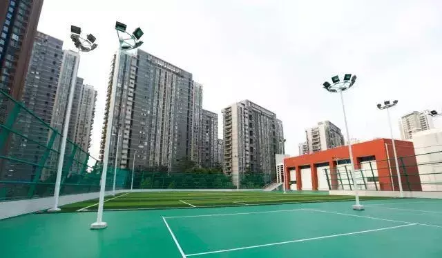 「深圳」外国语就是名校？福田区三朵外国语金花，谁更亮眼？