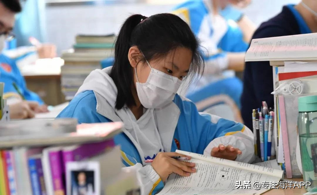 高三家长和学生必看：高职单招、春季高考、强基计划是什么？