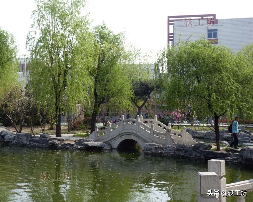 南京审计大学2017投档线（这四所）