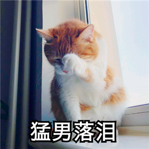 一键检测你是否被微信好友删除拉黑，够扎心的，敢来试试吗？