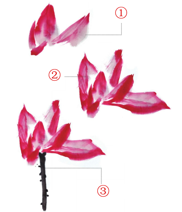 22问荷花花头有几种不同的画法