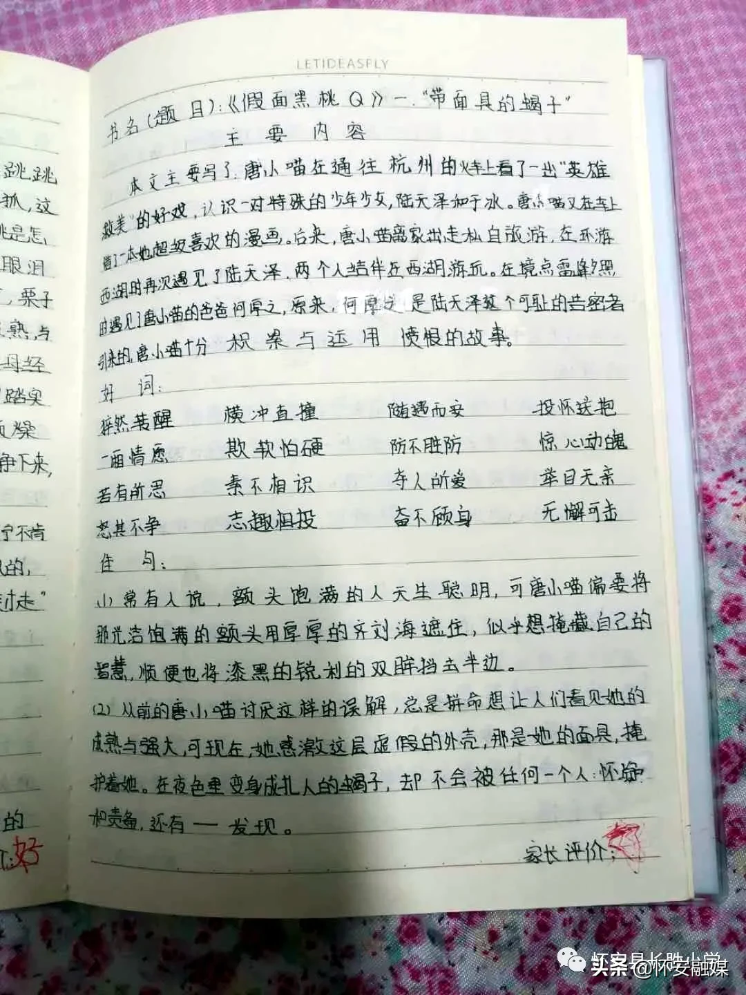 怀安县柴沟堡镇长胜小学网上秀学生假期作业