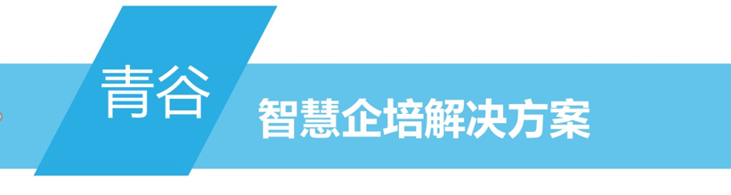 打造数字化转型核心力量，青谷科技要做制造业的“追光者”