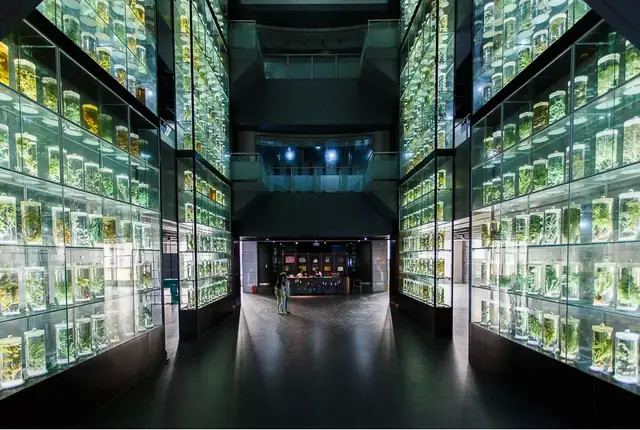 广州中医药大学成人高等学历教育2021年开始招生啦