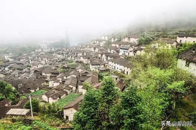 松阳县十大富豪榜单揭晓：丽水这座宝藏小城的财富风云