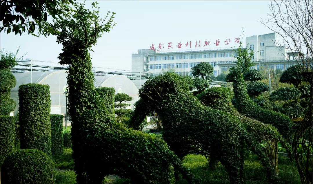 成都农业科技职业学院（国家优质院校成都农业科技职业学院2021年单招计划）