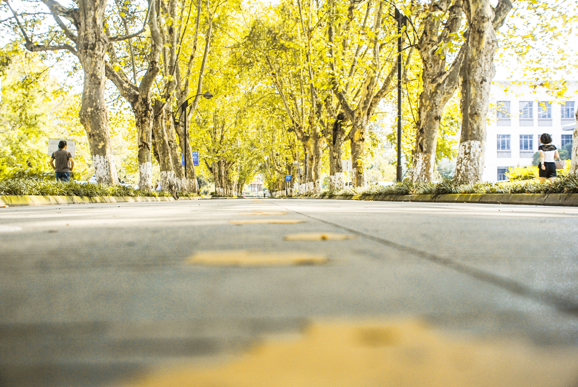 2019年湖北普通专升本电子商务等经管类专业招生院校招考概况