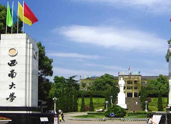 艺术生投档成绩最高的综合性大学有哪些？2021年统考成绩投档分析