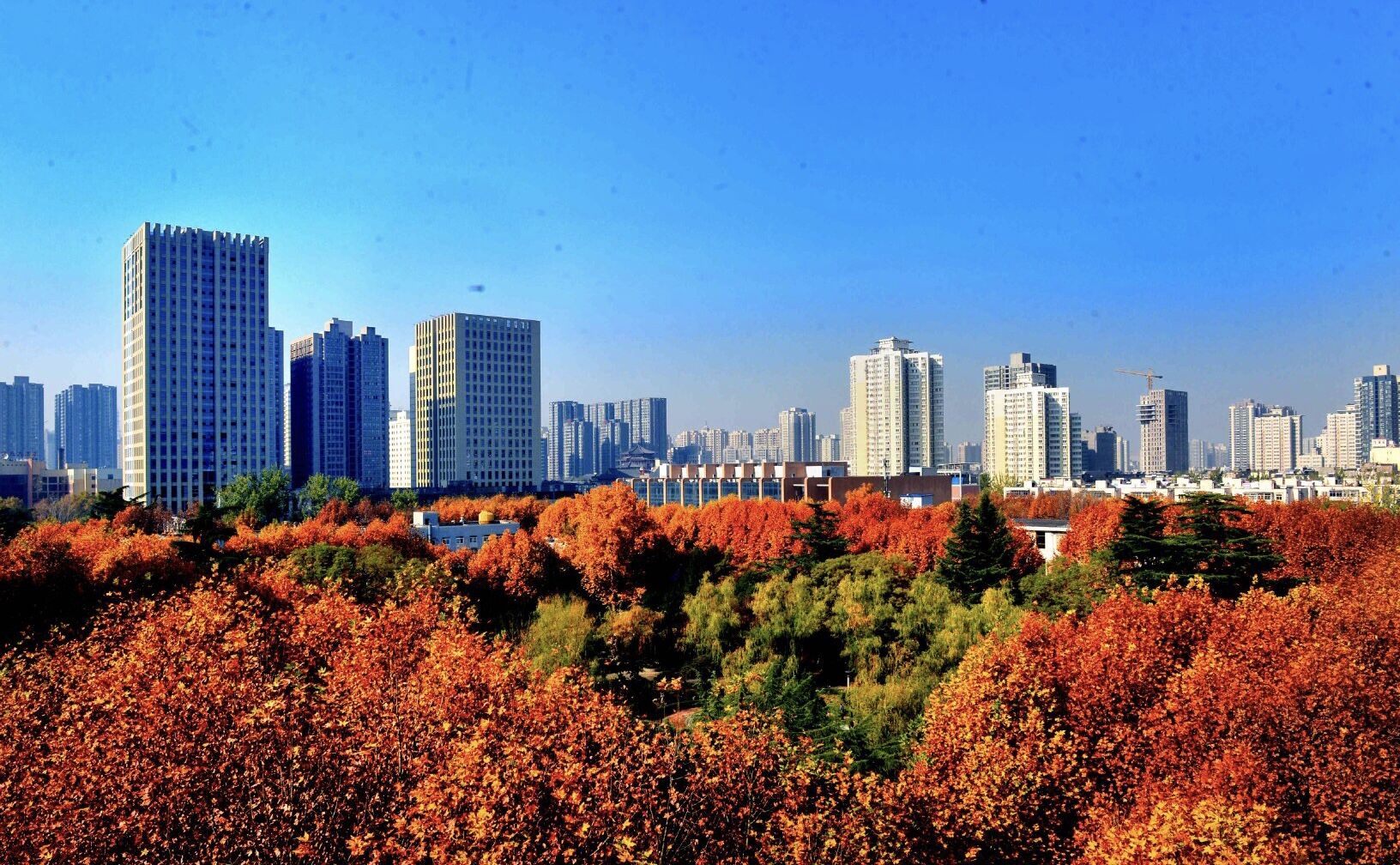 本科一批正式录取，这所985高校“爆冷”，投档线为561分