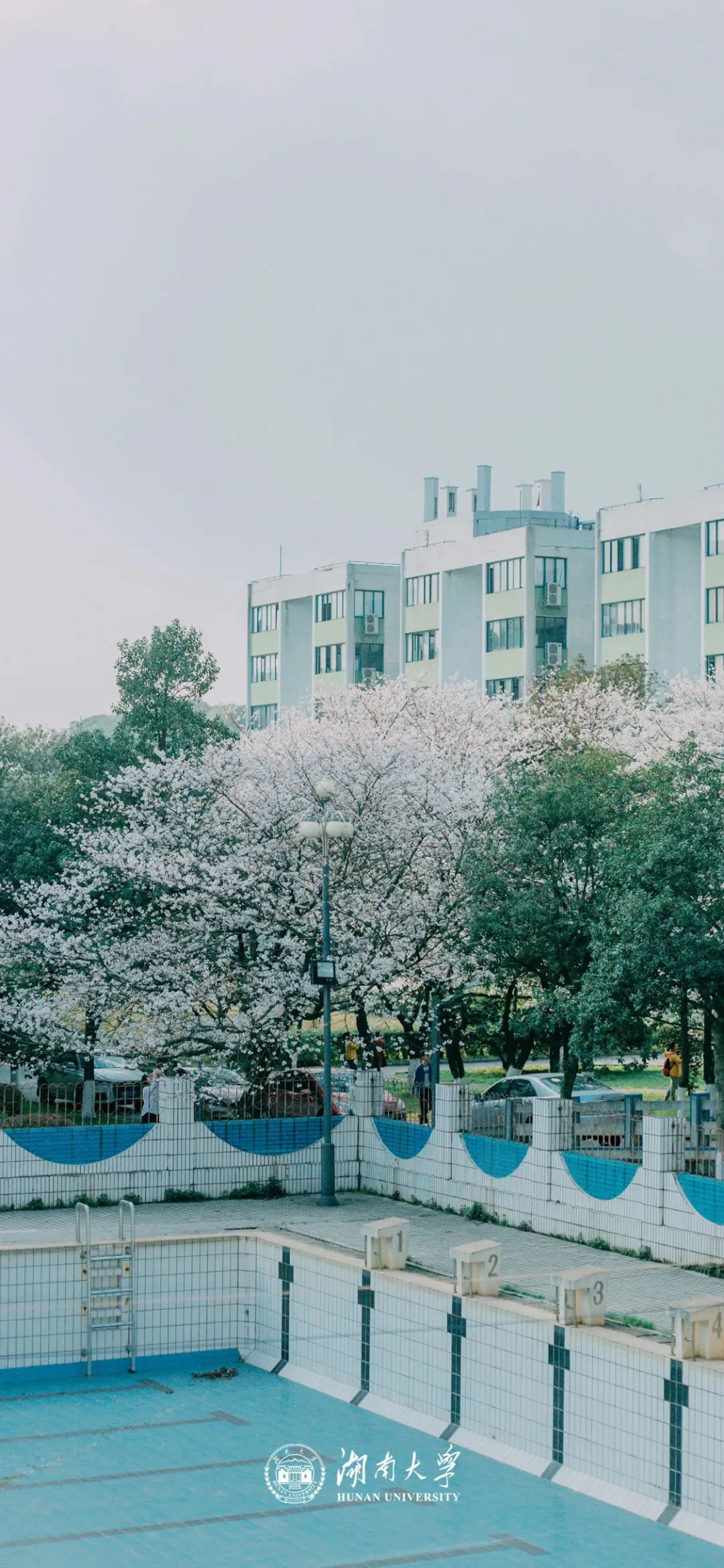 岳麓山下的千年名校——湖南大学