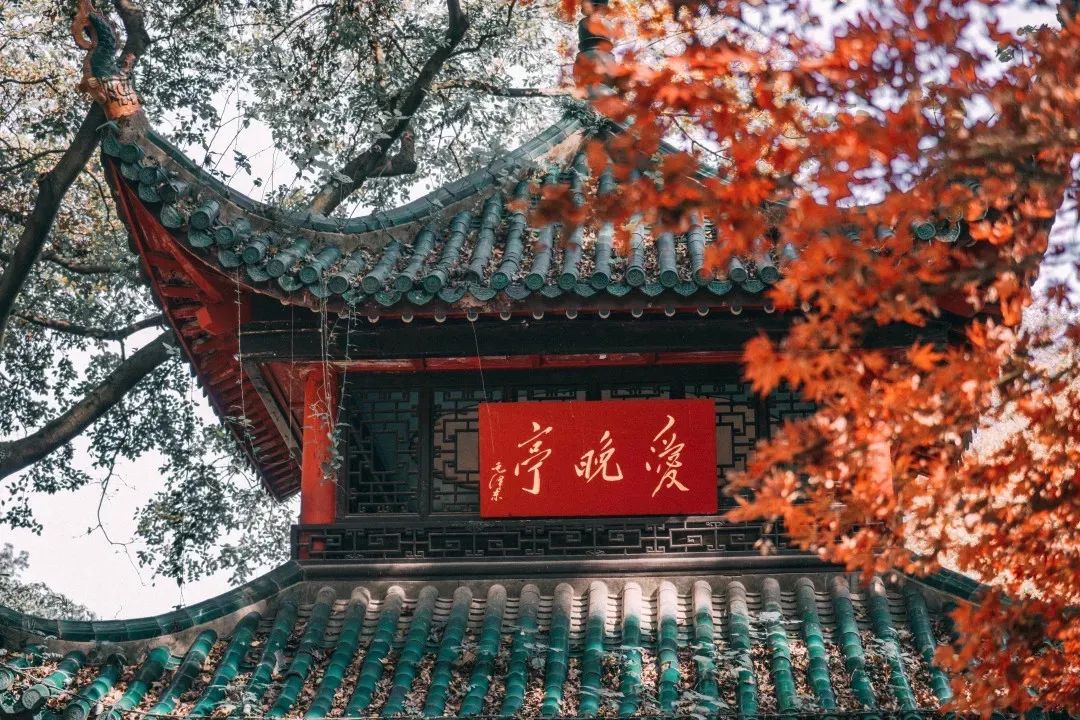 高考结束了？快来看看中南大学吧！