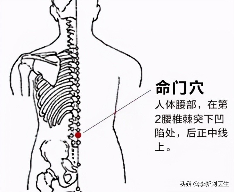 穴位密碼8-命門穴