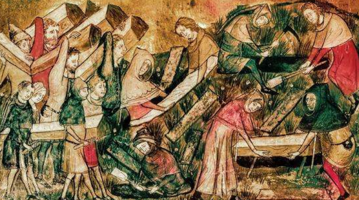 中世纪人们称之为"大死亡"或者"大瘟疫",一直到后来,"黑死病"才用来特