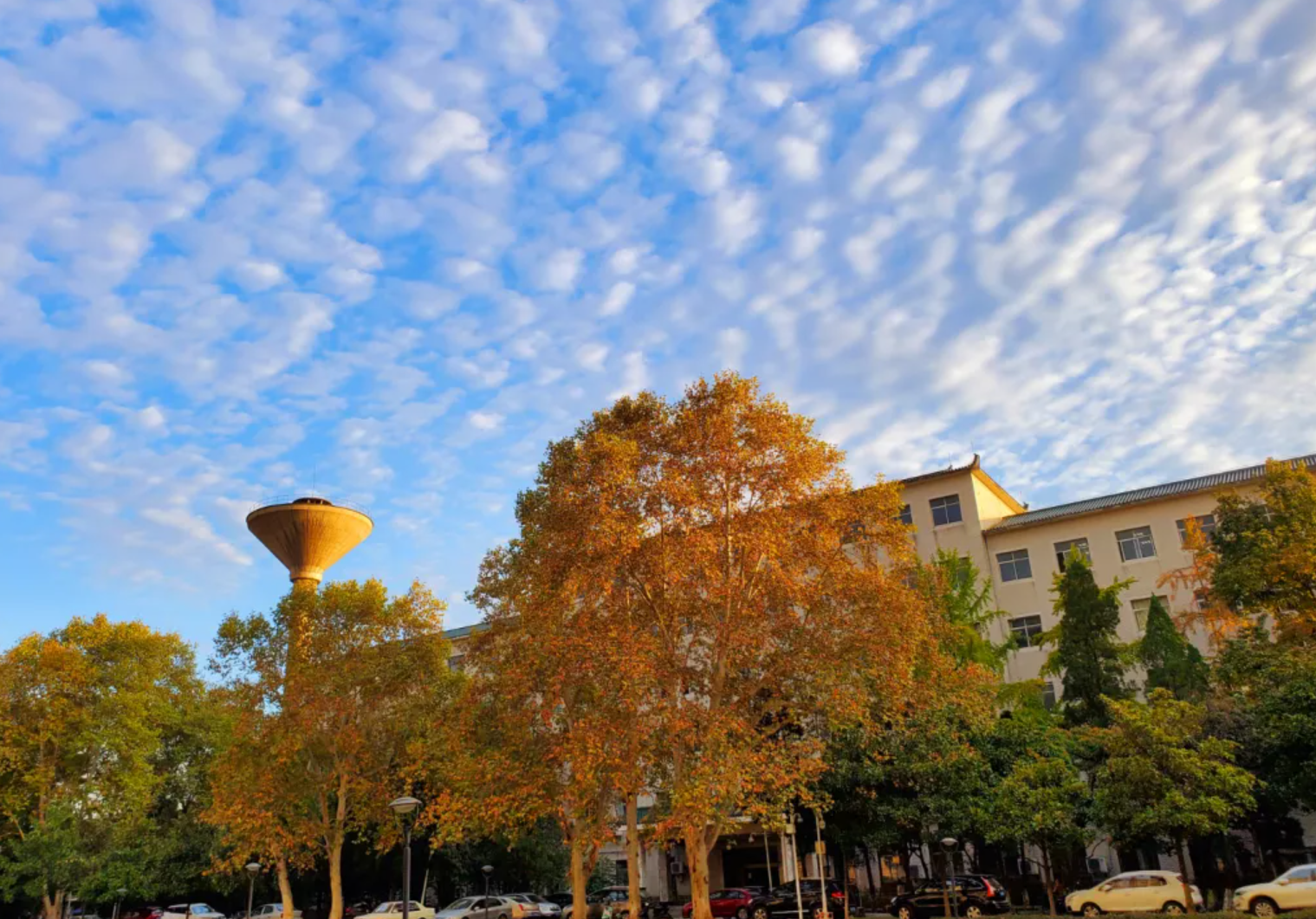 武汉有哪些知名大学？看完想重新再读一次