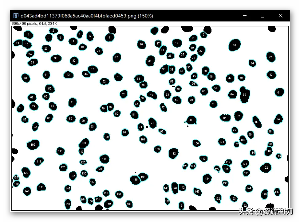 imagej细胞计数步骤（怎么用ImageJ进行自动细胞计数）