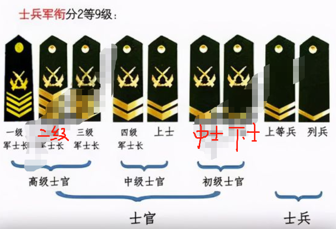 大学生当兵分等级，级别越高待遇越高，想要参军的大学生要知道