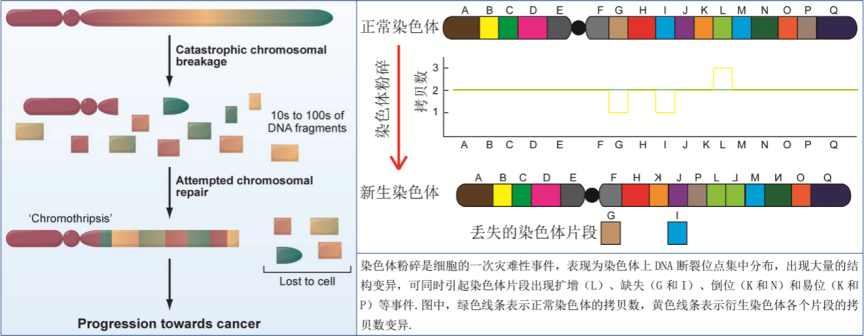 我听见赞誉来自人海，我排着队拿着诺奖的号码牌