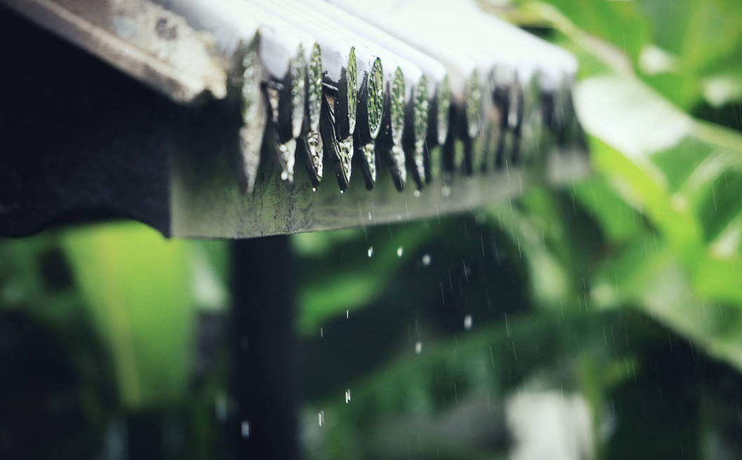 「诗词鉴赏」​大暑将至 大雨时行 一场山雨 一份诗意 一路前行