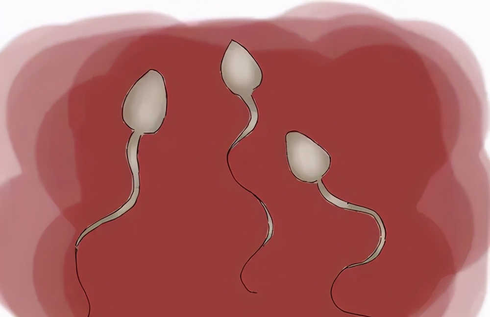 正常精子图片(男性的精液颜色不同) 