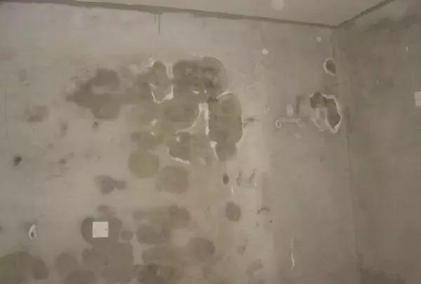 å®¶éå¢åéï¼å«å¬è¡¥æ¼âå¿½æ âè±å¤æé±ï¼æä½ ä¸ä¸ªæ°æ¹æ³è½»æ¾é¤é