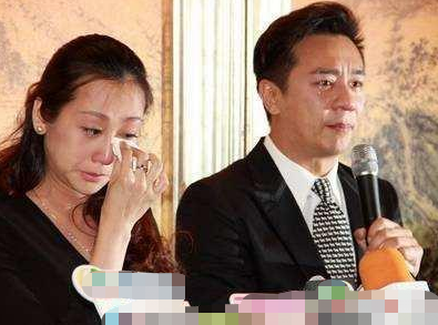 陈浩民老婆转型女强人？剖腹产生4胎后，她拒绝再当“生育机器”