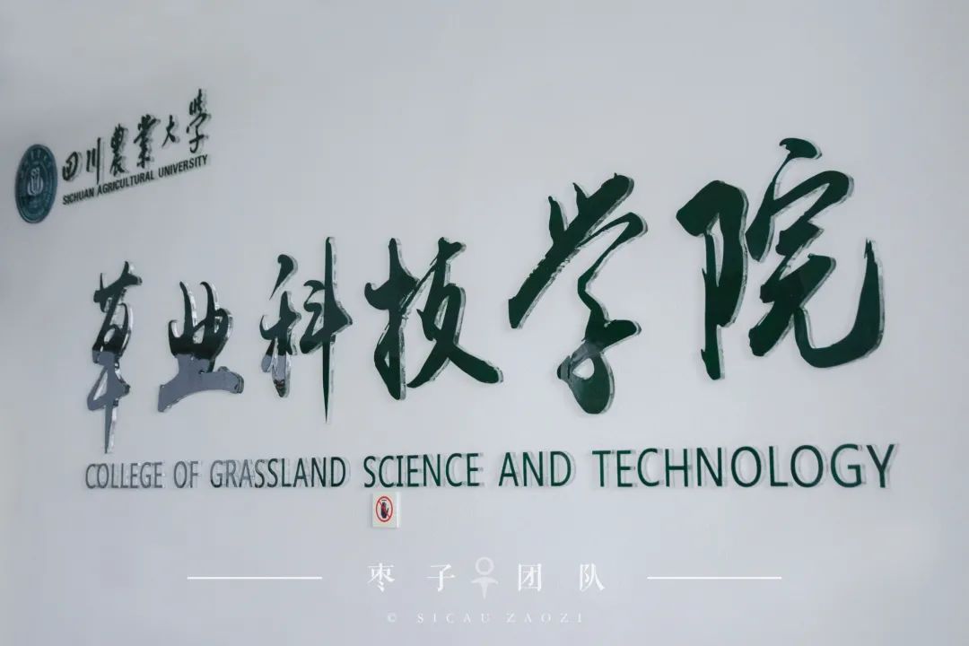 川农大学（官宣）